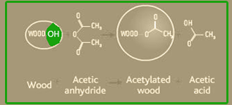 תהליך Acetylation - עץ אקויה